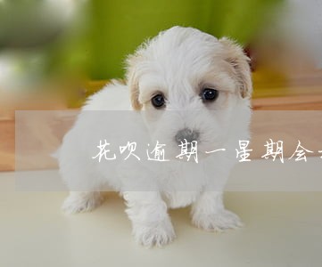 花呗逾期一星期会打电话 花呗逾期一星期会打电话