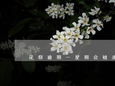 花呗逾期一星期会被冻结么 花呗逾期一星期会被冻结么