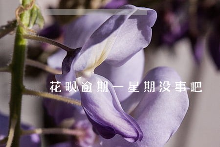 花呗逾期一星期没事吧 花呗逾期一星期没事吧