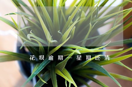 花呗逾期一星期还清 花呗逾期一星期还清