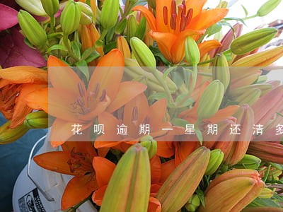 花呗逾期一星期还清多久可以用 花呗逾期一星期还清多久可以用