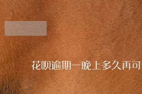 花呗逾期一晚上多久再可以借钱 花呗逾期一晚上多久再可以借钱
