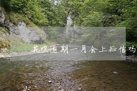 花呗逾期一月会上征信吗 花呗逾期一月会上征信吗