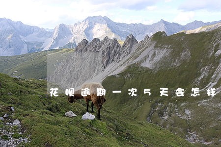 花呗逾期一次5天会怎样 花呗逾期一次5天会怎样