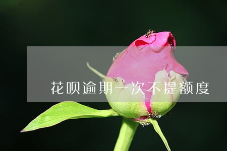 花呗逾期一次不提额度 花呗逾期一次不提额度