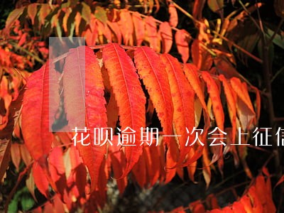 花呗逾期一次会上征信网吗 花呗逾期一次会上征信网吗