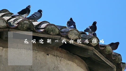 花呗逾期一次会被冻结吗 花呗逾期一次会被冻结吗