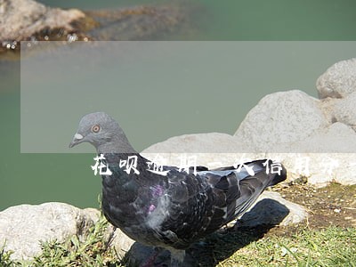 花呗逾期一次信用分一直不涨 花呗逾期一次信用分一直不涨