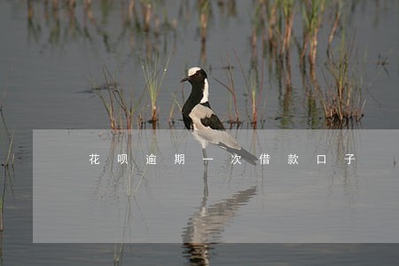 花呗逾期一次借款口子 花呗逾期一次借款口子