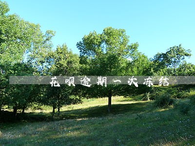 花呗逾期一次冻结 花呗逾期一次冻结