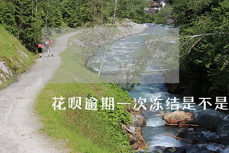 花呗逾期一次冻结是不是要一年 花呗逾期一次冻结是不是要一年