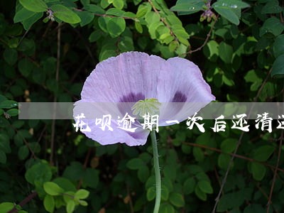 花呗逾期一次后还清还能再用吗 花呗逾期一次后还清还能再用吗