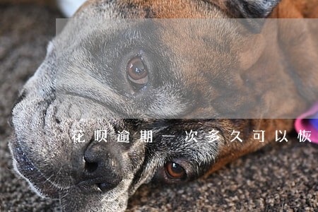 花呗逾期一次多久可以恢复 花呗逾期一次多久可以恢复
