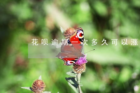 花呗逾期一次多久可以涨额度 花呗逾期一次多久可以涨额度