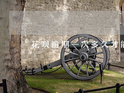 花呗逾期一次多久才能提芝麻分 花呗逾期一次多久才能提芝麻分