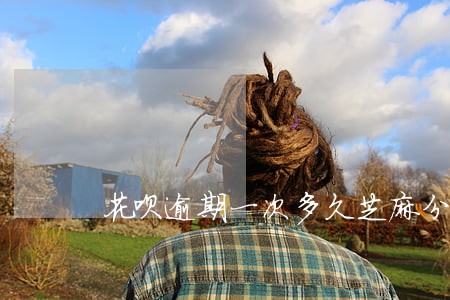 花呗逾期一次多久芝麻分恢复 花呗逾期一次多久芝麻分恢复