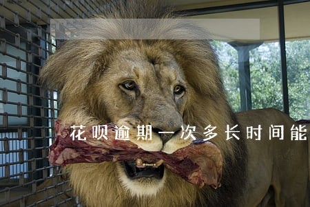 花呗逾期一次多长时间能用 花呗逾期一次多长时间能用