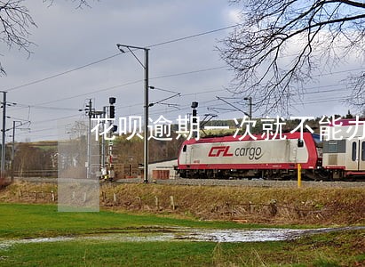 花呗逾期一次就不能办信用卡 花呗逾期一次就不能办信用卡