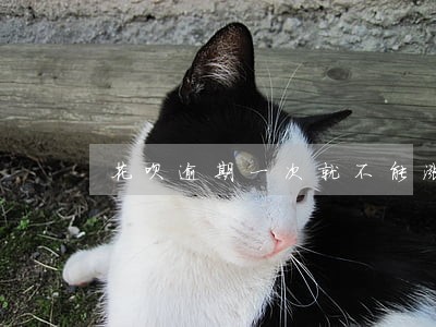 花呗逾期一次就不能涨额度 花呗逾期一次就不能涨额度
