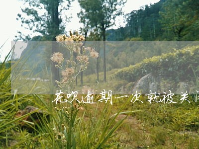 花呗逾期一次就被关闭了怎么恢复 花呗逾期一次就被关闭了怎么恢复