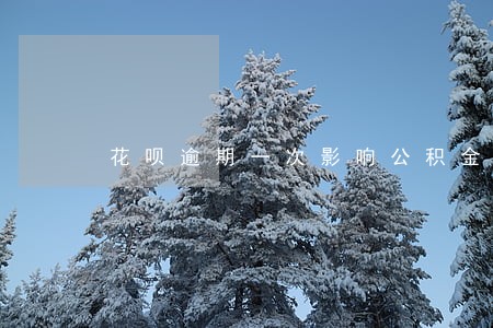 花呗逾期一次影响公积金贷款