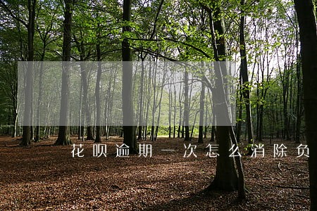 花呗逾期一次怎么消除负面记录 花呗逾期一次怎么消除负面记录