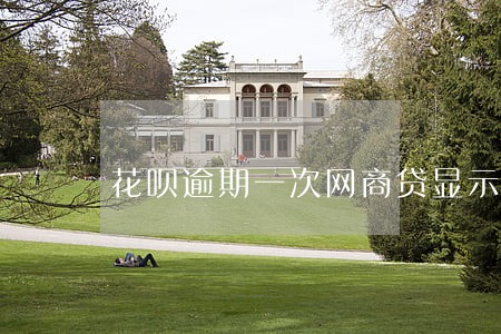 花呗逾期一次网商贷显示有额度