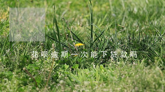 花呗逾期一次能下贷款吗 花呗逾期一次能下贷款吗