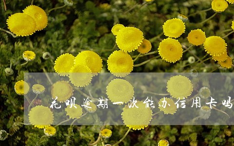 花呗逾期一次能办信用卡吗 花呗逾期一次能办信用卡吗
