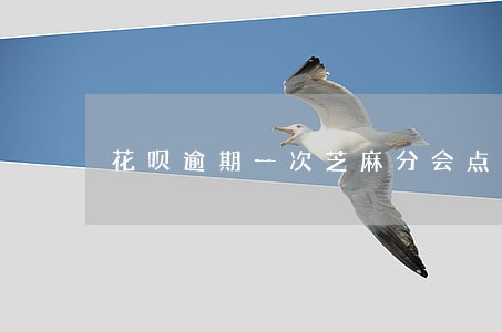 花呗逾期一次芝麻分会点么 花呗逾期一次芝麻分会点么