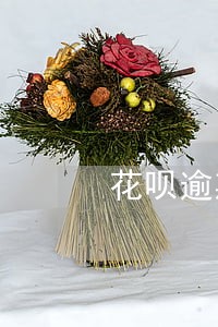 花呗逾期一次芝麻分怎么涨 花呗逾期一次芝麻分怎么涨