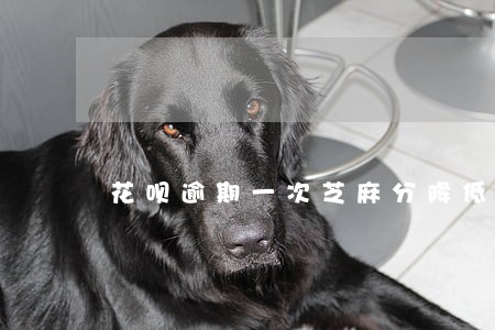 花呗逾期一次芝麻分降低多少 花呗逾期一次芝麻分降低多少