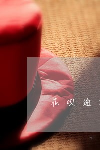 花呗逾期一次还能贷款买车吗 花呗逾期一次还能贷款买车吗