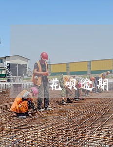 花呗逾期一百会上征信吗