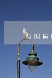 花呗逾期一百元两年 花呗逾期一百元两年