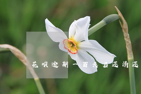 花呗逾期一百天后还清还能用吗 花呗逾期一百天后还清还能用吗