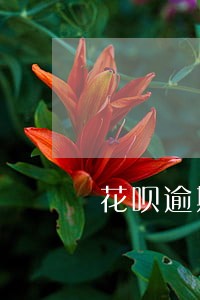 花呗逾期一直打电话催 花呗逾期一直打电话催