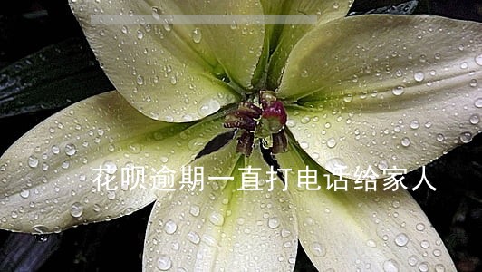 花呗逾期一直打电话给家人 花呗逾期一直打电话给家人