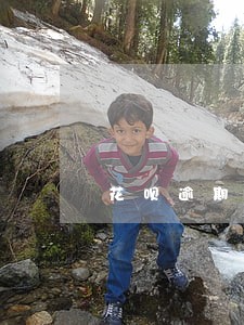 花呗逾期一直打电话让还 花呗逾期一直打电话让还