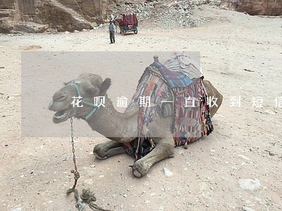 花呗逾期一直收到短信 花呗逾期一直收到短信