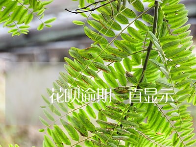 花呗逾期一直显示 花呗逾期一直显示