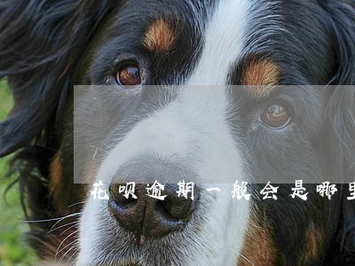 花呗逾期一般会是哪里的电话打来 花呗逾期一般会是哪里的电话打来
