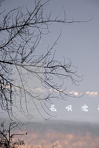 花呗逾期一般冻结几天