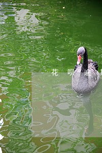 花呗逾期一般几天能恢复正常 花呗逾期一般几天能恢复正常
