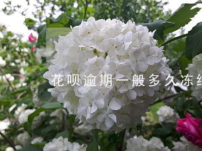 花呗逾期一般多久冻结 花呗逾期一般多久冻结