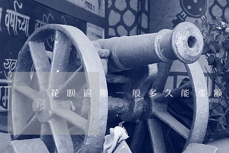 花呗逾期一般多久能涨额度 花呗逾期一般多久能涨额度
