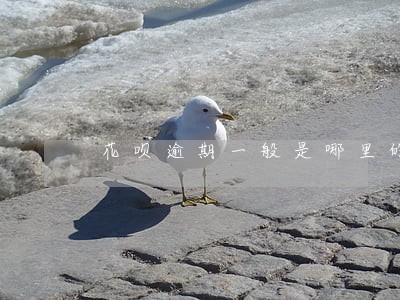 花呗逾期一般是哪里的号码打电话 花呗逾期一般是哪里的号码打电话