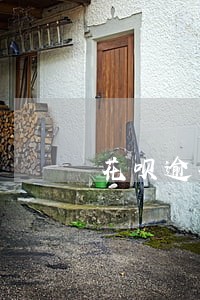 花呗逾期七个月是黑户了吗 花呗逾期七个月是黑户了吗