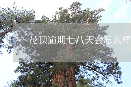 花呗逾期七八天会怎么样 花呗逾期七八天会怎么样