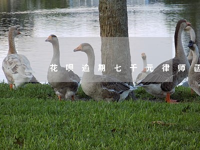 花呗逾期七千元律师函 花呗逾期七千元律师函
